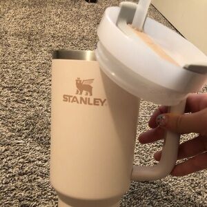 40 oz pink Stanley